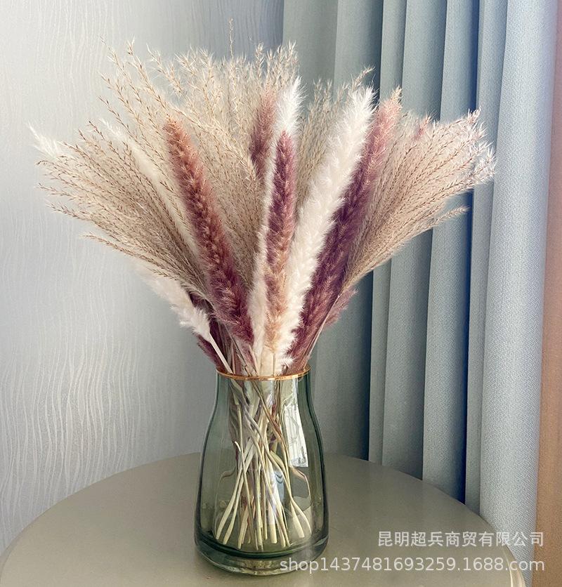 QQ图片20211109134436.jpg