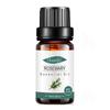 Empaque Completamente en Inglés Aceite Esencial Único de Árbol de Té para Fragancia de Velas DIY, Aceite Esencial de Árbol de Té, Aceite Esencial de Aromaterapia de Árbol de Té