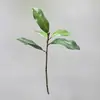 Planta Verde Artificial Folhas de Magnólia para Decoração de Casa, Casamento e Decoração de Janela; Paisagismo Artificial; Folhas de Magnólia Simuladas; Item Mais Vendido Transfronteiriço