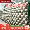 Estante para cultivo de cogumelos, estante para cultivo de cogumelos planos, estante de rede para cultivo de cogumelos, estante para plantio e cultivo de cogumelos, estante para cultivo de cogumelos shiitake tipo tubo de aço