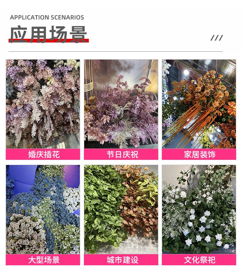梅宇详情_08