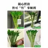 Bambu da sorte enraizado, bambu dragão, bambu da fortuna, plantas cultivadas em água, fáceis de cuidar na sala de estar, plantas de interior em vasos, plantas verdes hidropônicas