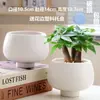 Vaso de Cerâmica Minimalista Nórdico, Design Grande de Luxo com Prato, Criativo e Único para Uso Doméstico, Adequado para Plantas Verdes e Orquídeas