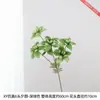 6 flores artificiales de onagra para comedor y estudio, decoración floral con tallos de flor elegantes y gráciles, que exudan una atmósfera suave y tranquila