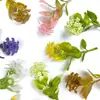 Plantas Verdes Simuladas Transfronterizas, Flores Simuladas de Plástico, Plantas en Maceta Simuladas, Plantas Acuáticas de Pared, Accesorios, Paisajismo para Acuarios