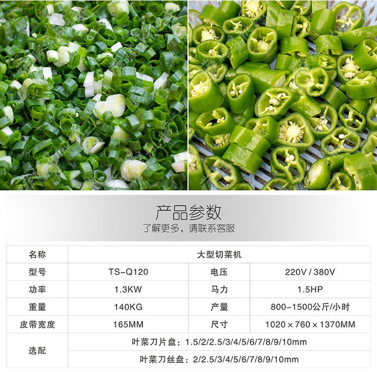 TS-Q118C-双头切菜机-详情页(750px)_04.j