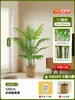 Palma Areca de Simulación Estilo Lujo Ligero de Alta Gama Árbol Artificial Adornos de Decoración para Sala de Estar Interior Paisajismo de Piso Planta Verde Biónica Planta en Maceta