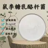 Lactobacillus Rhamnosus Grado Alimenticio Ingrediente de Salud Probiótico Polvo Liofilizado Bacterias Ácido Láctico Bebida Sólida En Stock