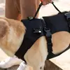 Cinto Auxiliar de Passeio para Cães Idosos, Cães com Deficiência, Cães Idosos, Assistência para Patas Dianteiras e Traseiras para Cães ao Subir e Descer Escadas