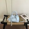 Bolsa Pequena Elegante e Estilosa da Shuai Mi para Mulheres, Nova Bolsa Transversal de Nicho Verão 2026, Bolsa de Mão Estilo Coreano com Design de Balde Plissado