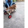 Silla de ruedas para perros y gatos grandes y pequeños, Soporte universal para patas traseras, Cochecito para mascotas para extremidades posteriores, Rehabilitación auxiliar para perros discapacitados, Ayuda para el ejercicio