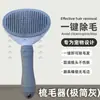 Cortador de unhas de aço inoxidável para gatos, com furo redondo, pequeno, cortador cego, cortador de unhas para animais de estimação, faca, cortador de unhas, disponível para iniciantes, gatos e cães