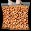Snacks de cacahuete multiesabor para satisfacer antojos, cacahuetes crujientes, snacks para acompañar bebidas alcohólicas, deliciosos y crujientes, empaquetados en bolsas, 1 caja, 1 libra, 20 bolsas