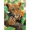 Pintura Diamante 5D Llena de Diamantes Animal León Bordado Diamante DIY Diamante Redondo Punto de Cruz Pintura Diamante Hecha a Mano Pintura Decoración Hogar