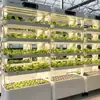 Máquina de Cultivo de Verduras para Balcón Doméstico Cultivo sin Suelo Verduras y Flores Caseras Plantas Hidropónicas