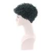 Peruca Anime Europeia e Americana cabelo curto cacheado cobertura de cabeça pequena explosão de cachos fabricante de comércio exterior em estoque peruca cos