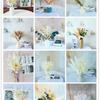 Amazon transfronterizo caña pequeña flor seca decoración de fiesta para sala de estar accesorios para fotos pampas fábrica en stock venta al por mayor