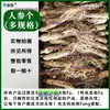Ginseng de la Montaña Changbai, Ginseng Silvestre, Ginseng Secado al Sol de Tres Vidas del Noreste, Ginseng Blanco de Bosque, Ginseng de Múltiples Especificaciones, Raíz Entera