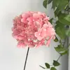 Flor de hortensia artificial individual con color degradado bicolor impreso, adecuada para decoración de bodas, arreglos florales de hotel y decoración de salón de bodas