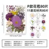 Flores Prensadas, Flores Secas em Resina, Materiais de Flores Artesanais DIY, Materiais Didáticos de Plantas, Espécimes de Flores Naturais Reais, Artesanato Feito à Mão
