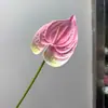 Antúrio com toque de PU artificial, cacto florido e flor-flamingo para decoração suave, arranjos florais, vitrines, quartos modelo e decoração de casa
