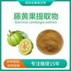 Ácido hidroxicítrico HCA 60% Extracto de Garcinia cambogia Polvo de Garcinia cambogia Extracto de fruta Luo Wang 500g