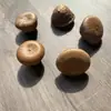 Calabaza Naranja Pequeña, Fruto de Planta de Calabaza Pequeña, Accesorios Hechos a Mano para Manualidades, Materiales de Decoración con Flores Secas, Estilo Bosque Vintage