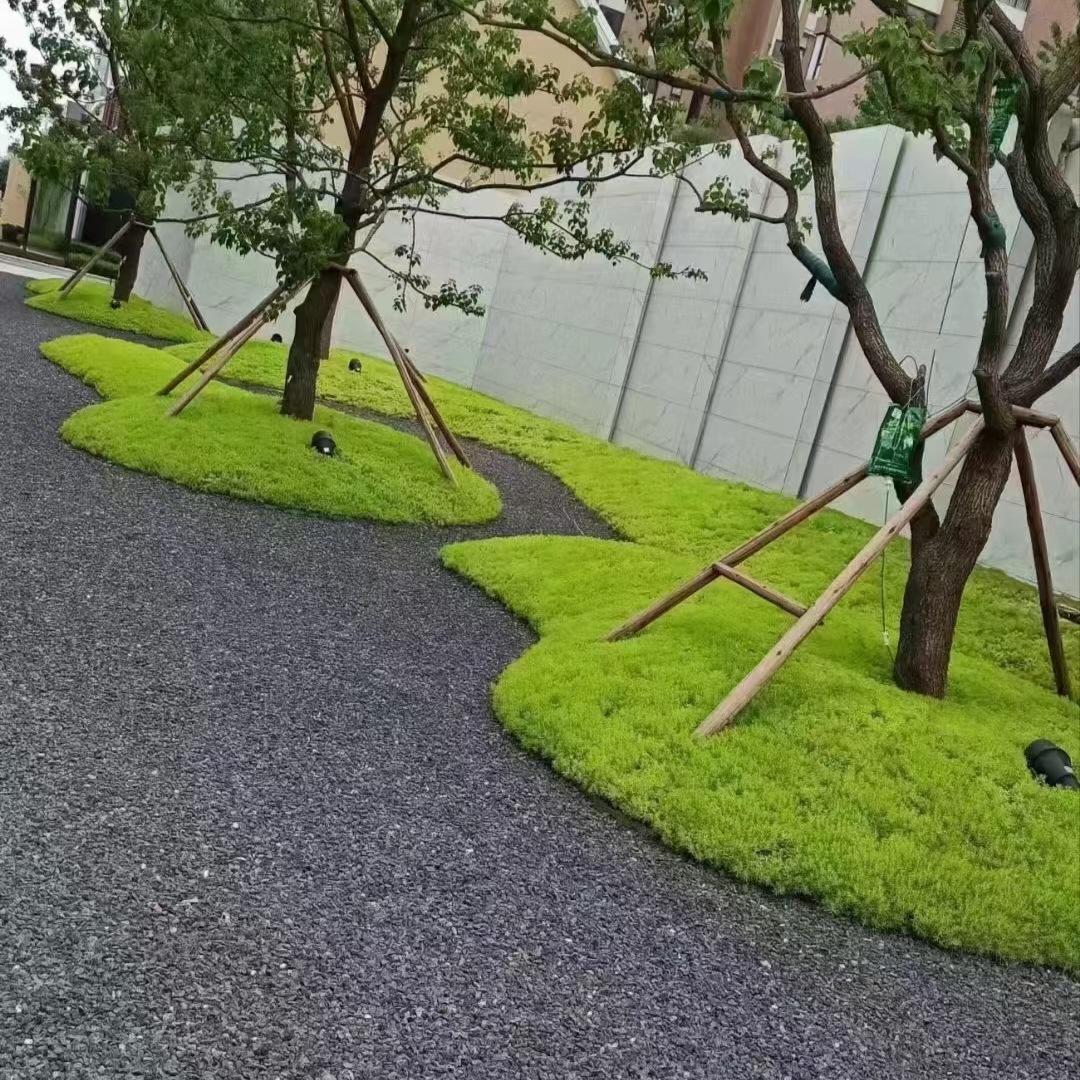 微信图片_20250503092948.jpg