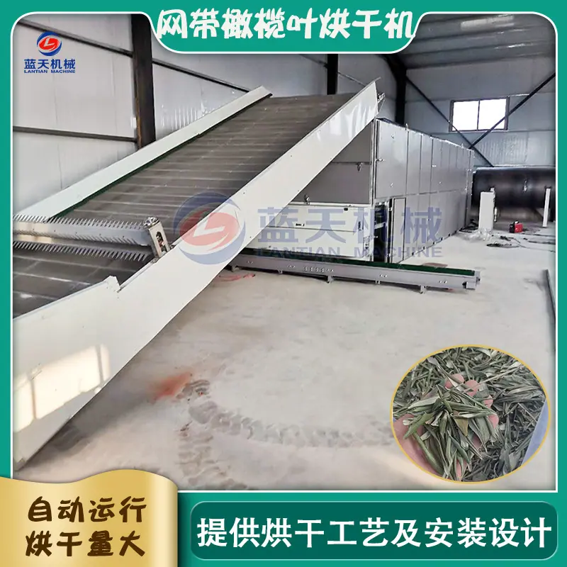 阿里.jpg