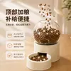 Dispensador Automático de Comida y Agua para Gatos, Dos en Uno, Gran Capacidad, Circulación Automática, Comedero y Bebedero para Gatos y Perros, Alimentador Programable
