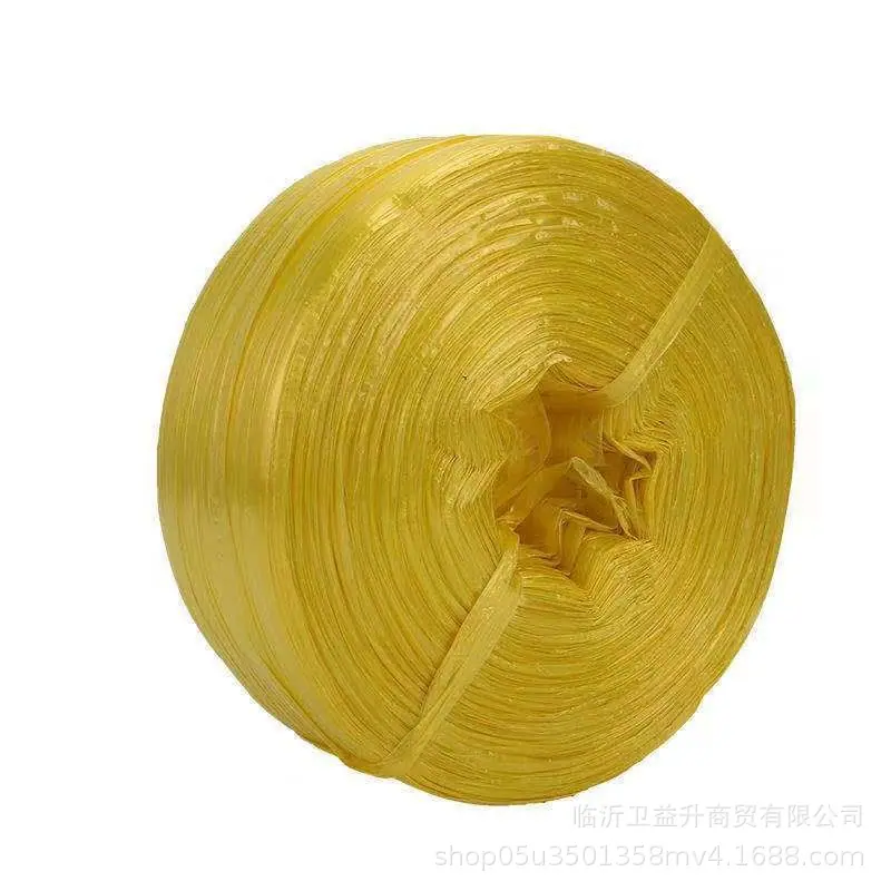 微信图片_20260117135606_5025_906 -