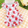 Gatos de Estimação Podem Puxar, Amam Vestidos de Verão, Suprimentos para Cães e Gatos, Roupas e Vestuário para Corgis