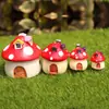 Musgo micro paisajismo suculenta casa de champiñones decoración Mini champiñón micro paisajismo flor ornamental Casa paisajismo material DIY