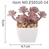 Planta Suculenta Simulada Vaso de Plástico Bonsai Mini Pequeno Quadrado Planta em Vaso Es0510 Alta Simulação Planta Verde