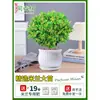 Planta en Maceta Flor de Milán, Planta de Interior con Flores y Capullos, Planta Verde Repelente de Mosquitos, Bonsái de Tocón Viejo, Planta de Floración Cuatro Estaciones, Fragante y Fácil de Cuidar