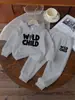 Conjunto de Ropa para Niños Transfronterizo Amazon Aliexpress Comercio Exterior Dropshipping para Niños Mayores Sudadera con Capucha y Pantalones de Chándal Conjunto de Dos Piezas