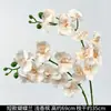 Flores de Orquídea Realistas de 38 pulgadas de Amazon para Fondos de Boda y Decoraciones Florales Orquídeas Artificiales