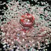 Nuevo Set de 6 Colores Espejo Gradiente Mariposa Destello Color Mixto Cáñamo Flotante Arena Movediza Lentejuela Forma Especial Joyería para Uñas de Manicura