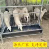 Posicionamento Criação Flip Fundo de Borracha Comedouro Comedouro Espessado Venda Direta do Fabricante Alimentador de Ovelhas Comedouro de Ovelhas Esteira Transportadora Pescoço de Ovelha