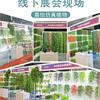 Simulación Cesta Colgante Ratán Verde Decorativo Refugio Colgante Pared Planta Verde Flor Falsa Planta Colgante Diaolan Vid Hoja Verde Colgante