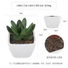 Más de 100 Tipos de Combinaciones de Plantas Suculentas Artificiales en Maceta Mini, Ventas Transfronterizas Populares, Estilo Sencillo Decoración del Hogar Flores Artificiales y Plantas Verdes, Directo de la Fábrica Fuente