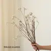 Frutas Brancas Pequenas Secas da Árvore Wujiao, Buquê de Flores, Galhos, Troncos de Árvores, Galhos e Frutas Secas para Decoração de Pousada, Arranjo Floral, Estilo Wabi-Sabi, Flores Naturais Secas