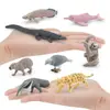 Set de 8 Figuras de Fauna Sudamericana Figuras de Animales de PVC Incluye Delfín Caimán Capibara Perezoso Jaguar Oso Hormiguero y Más Educativo T