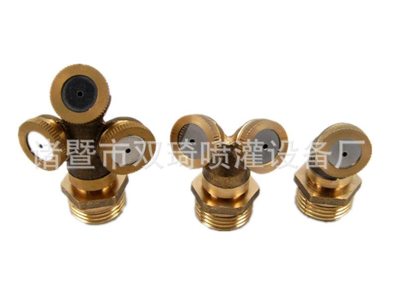 T19gzvXcXlXXa0Aeo._112051