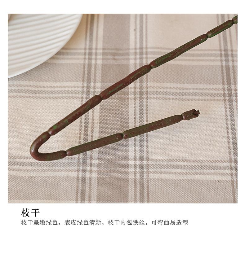 单枝3叉豆叶_10.jpg
