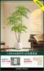 Planta Verde Artificial Nantianzhu, de Gama Alta y Lujo, de Pie, Grande para Interiores y Exteriores, Bonsái de Alta Calidad, Árbol Falso para la Sala de Estar