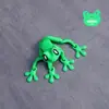 Impresión 3D transfronteriza junta de rana magnética modelo de animal vivo manualidades adornos de escritorio para refrigerador juguetes de moda de mano