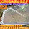 Malla Protectora Engrosada para Jardinería, Malla Anti-Pájaros para Pollos, Valla de Plástico, Malla Anti-Pájaros para Árboles Frutales en el Patio, Red de Pesca, Jaula de Malla
