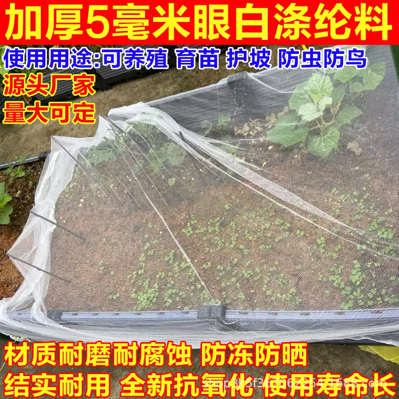 主图1.jpg