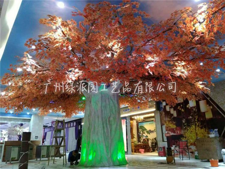 枫树红枫树绿枫05.jpg